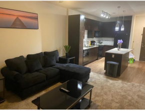 Beautiful luxury apartment